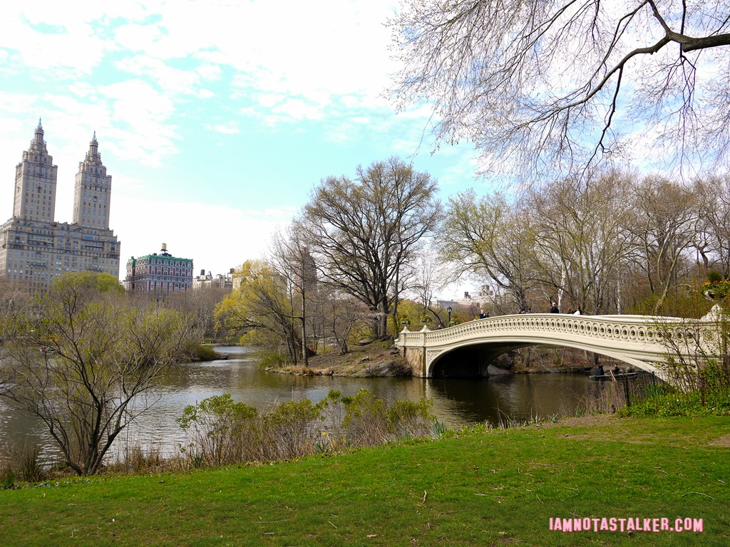 Bow Bridge from Glee-1140161