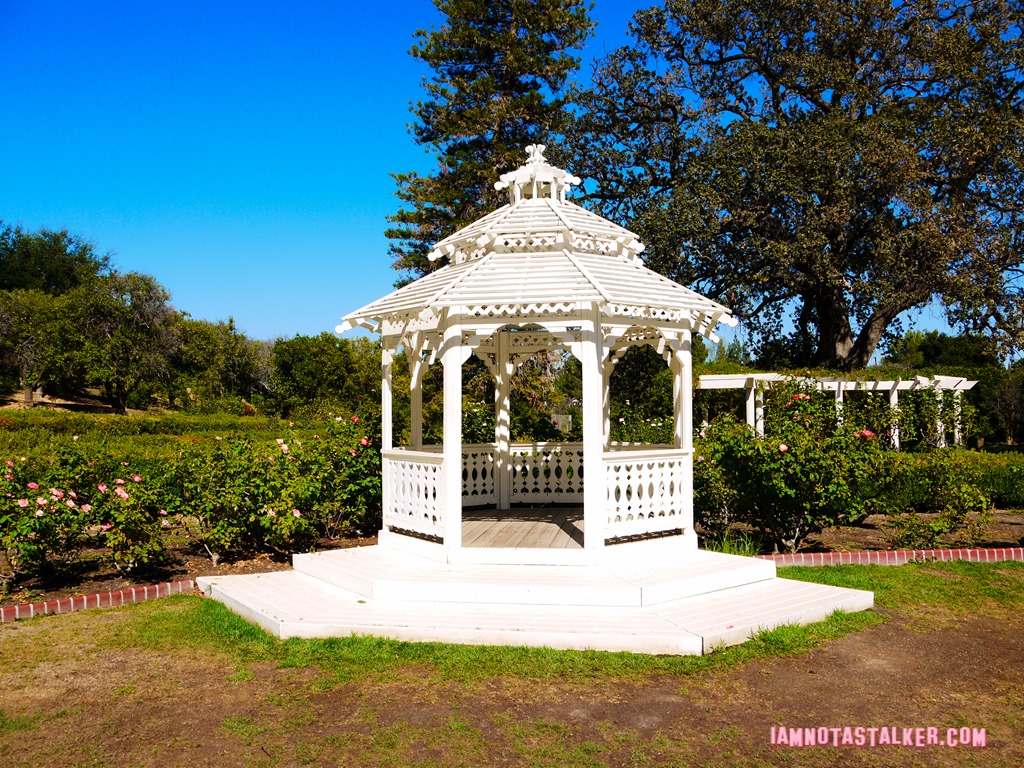 Orcutt Ranch from La La Land-1070629