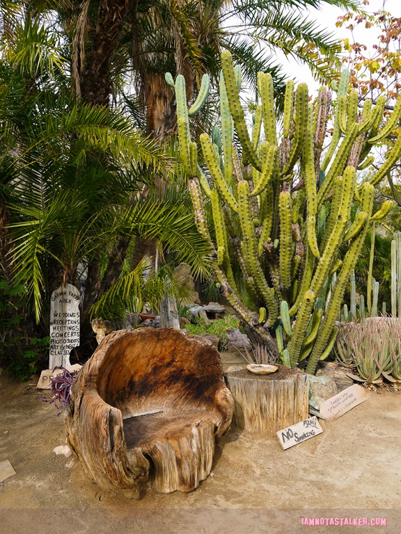Moorten Botanical Garden from Rescue 911-1130127