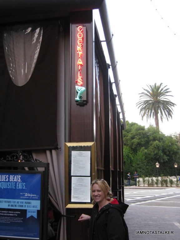 IMG_2595 IMG_2595