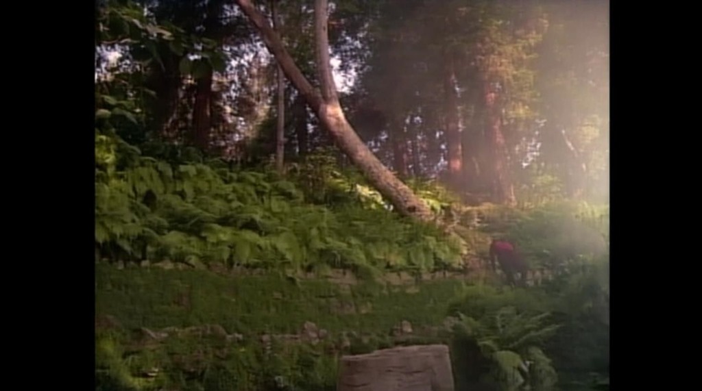 ScreenShot316