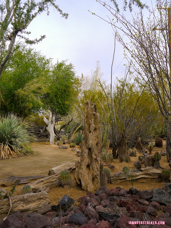 Moorten Botanical Garden from Rescue 911-1130175