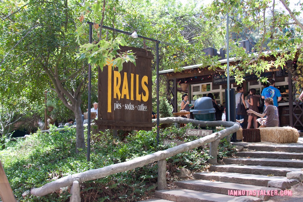 Fern Dell (9 of 9) (2)