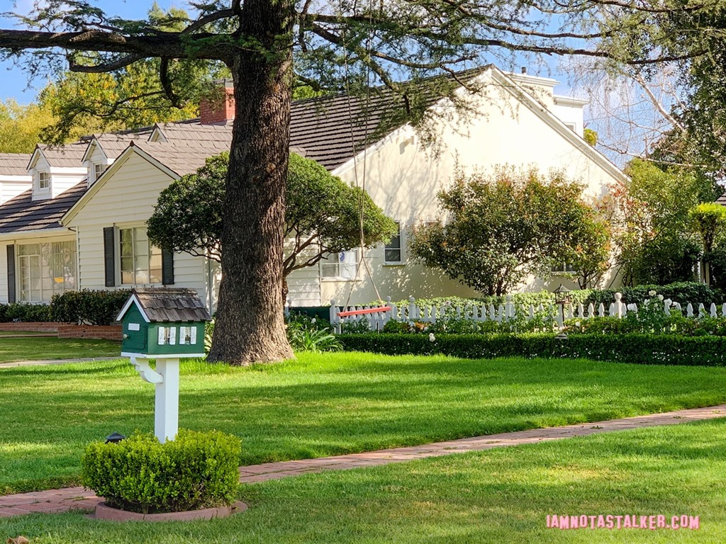 IMG_9382