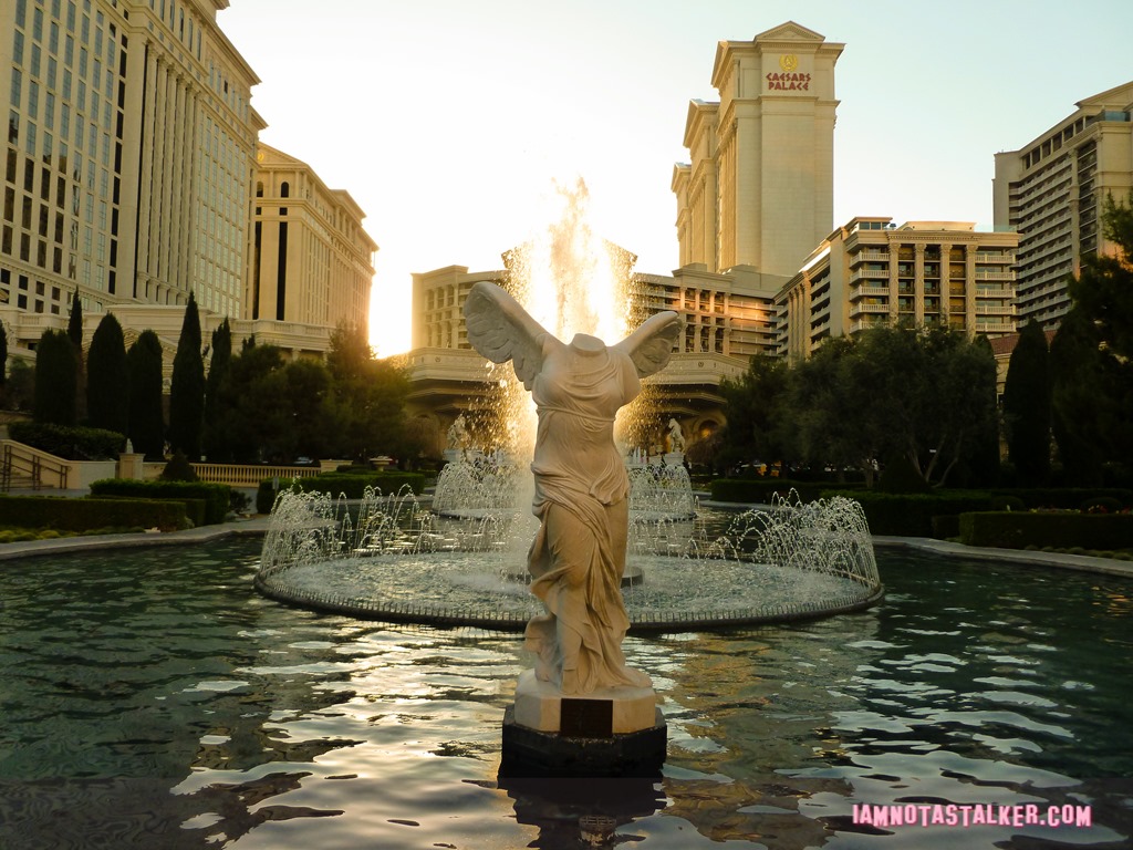 Caesar's Palace The Hangover (31 of 33)