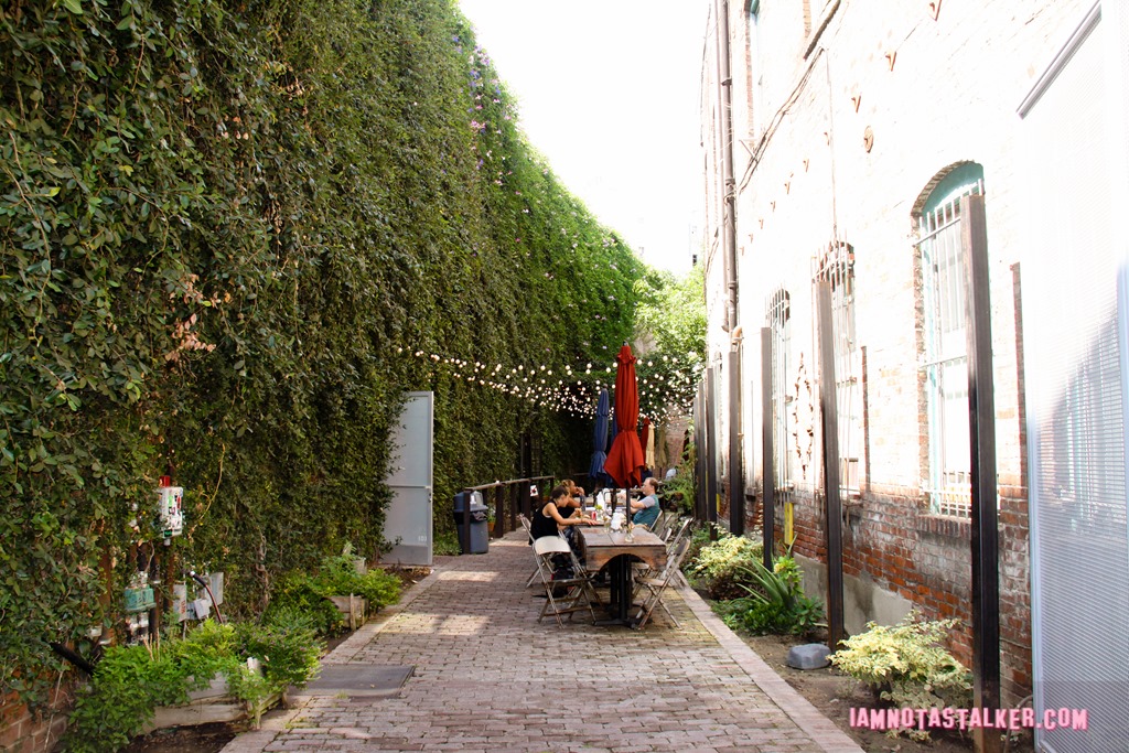 Little Dose Cafe (2 of 4)