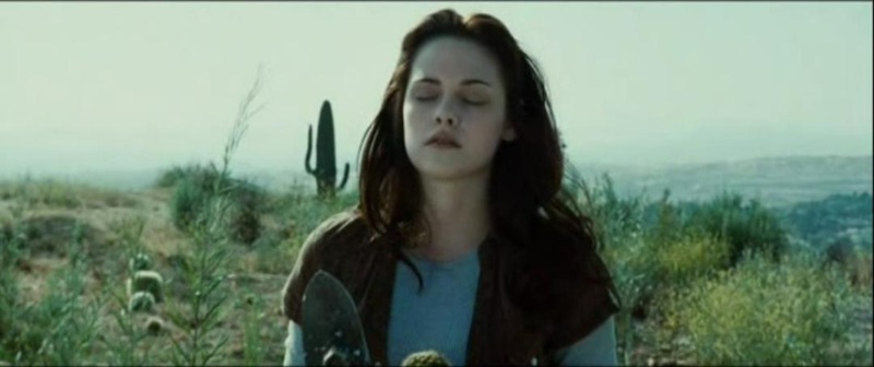 ScreenShot2537