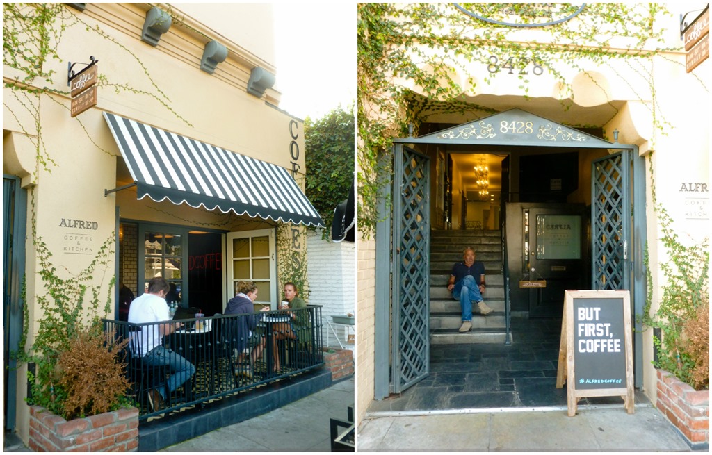 Alfred Coffee   Kitchen