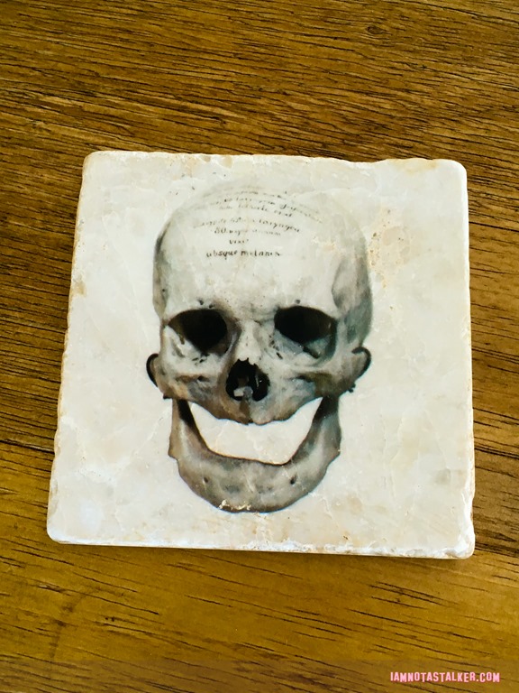 The Mutter Museum-5820