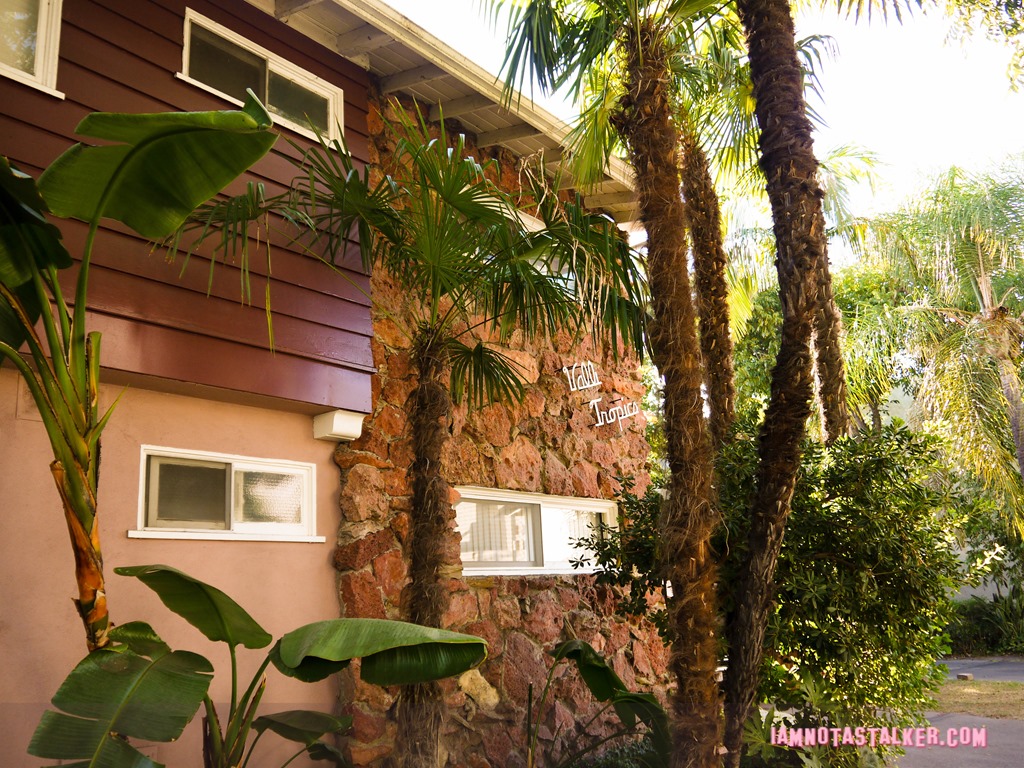 Valli Tropics Wicked City-5