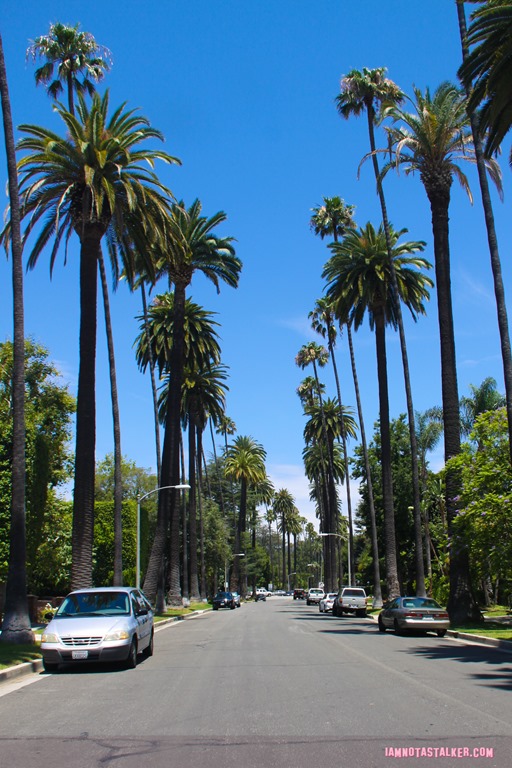 LA (1 of 1)