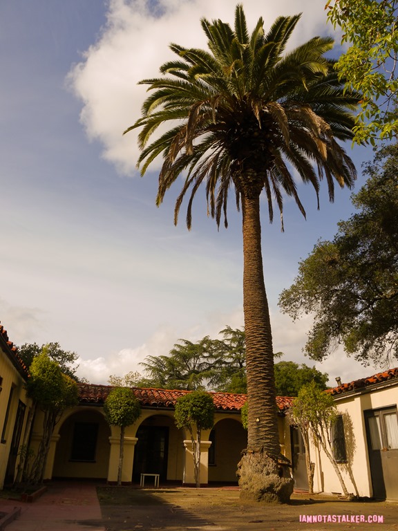 Rockhaven Sanitarium (61 of 115)