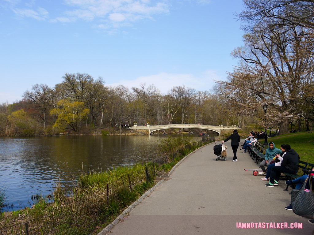 Bow Bridge from Glee-1140138