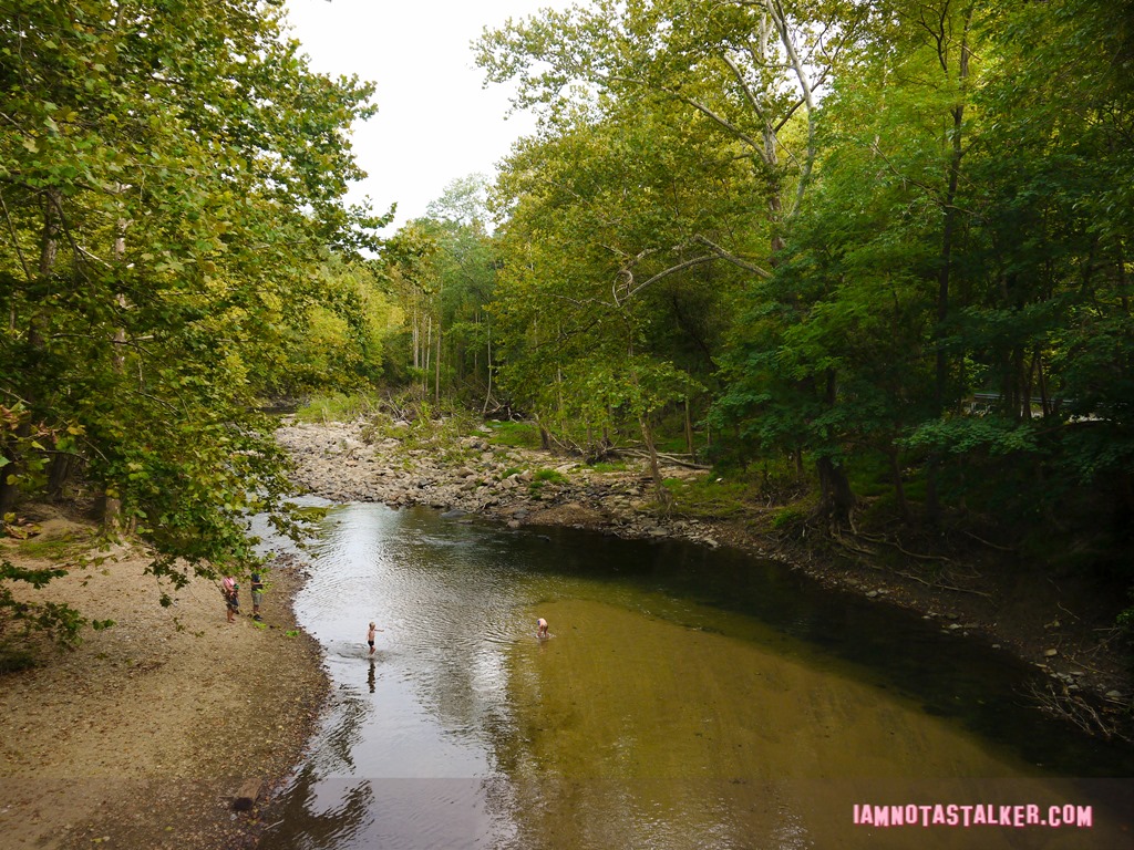 Patapsco Valley State Park from Serial-1170449