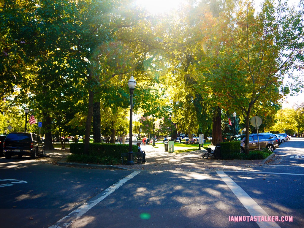 Healdsburg Town Plaza from Scream (16 of 20)
