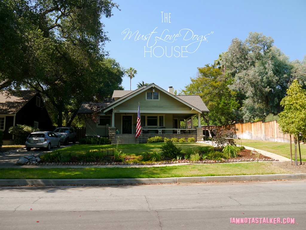 Must Love Dogs House (7 of 11)
