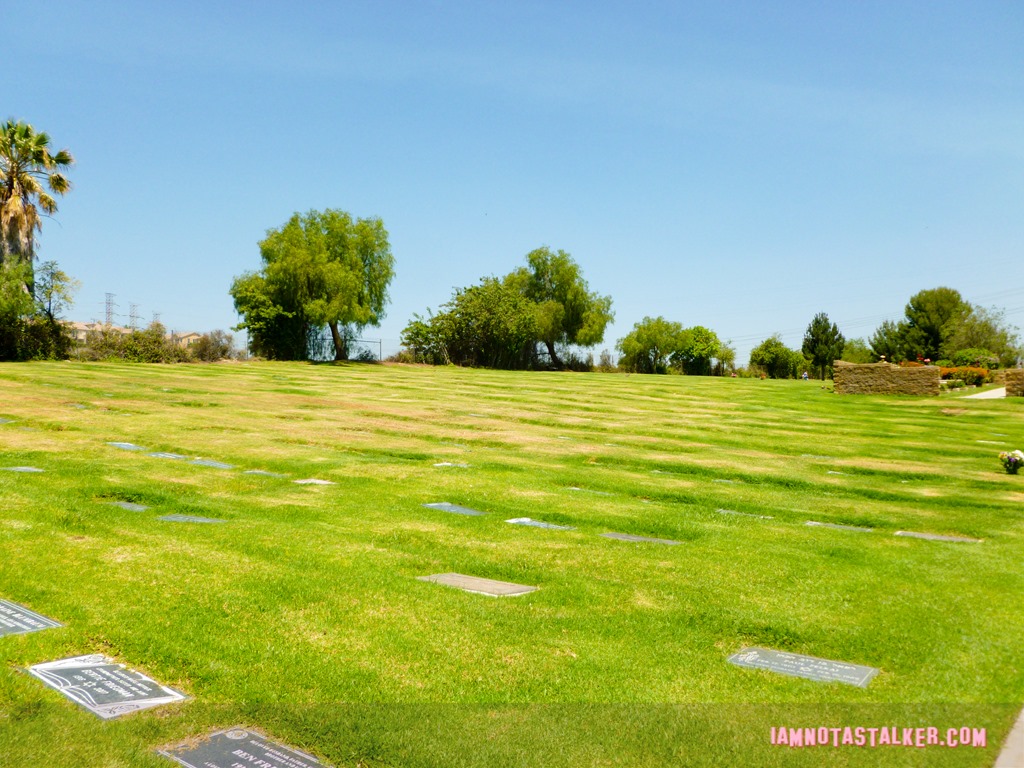 Don't Tell Mom the Babysitter's Dead Mortuary (18 of 21)