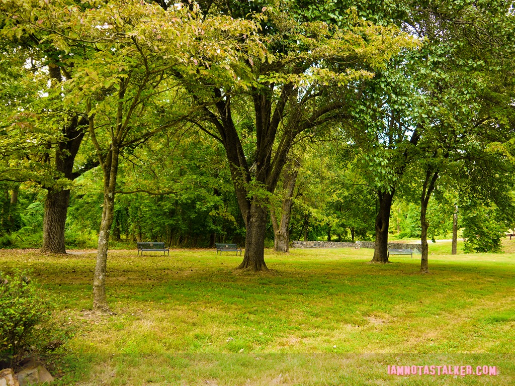 Patapsco Valley State Park from Serial-1170441