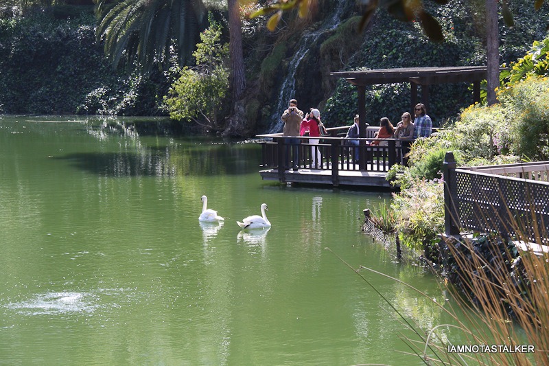 Lake-Shrine-Self-Realization-Fellowship-48
