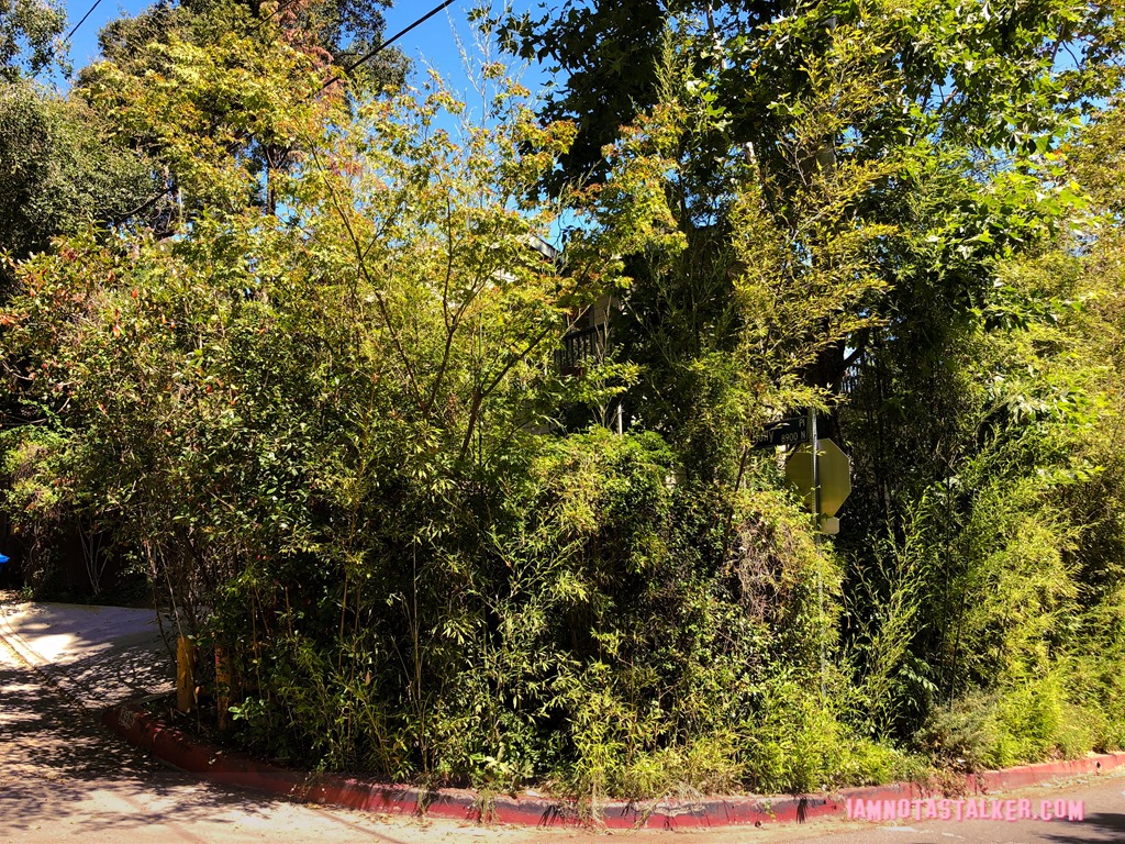 Neve Campbell's Former Haunted House (7 of 10)
