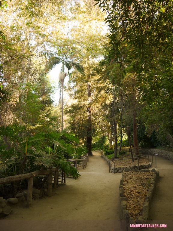 Fern Dell (13 of 32)