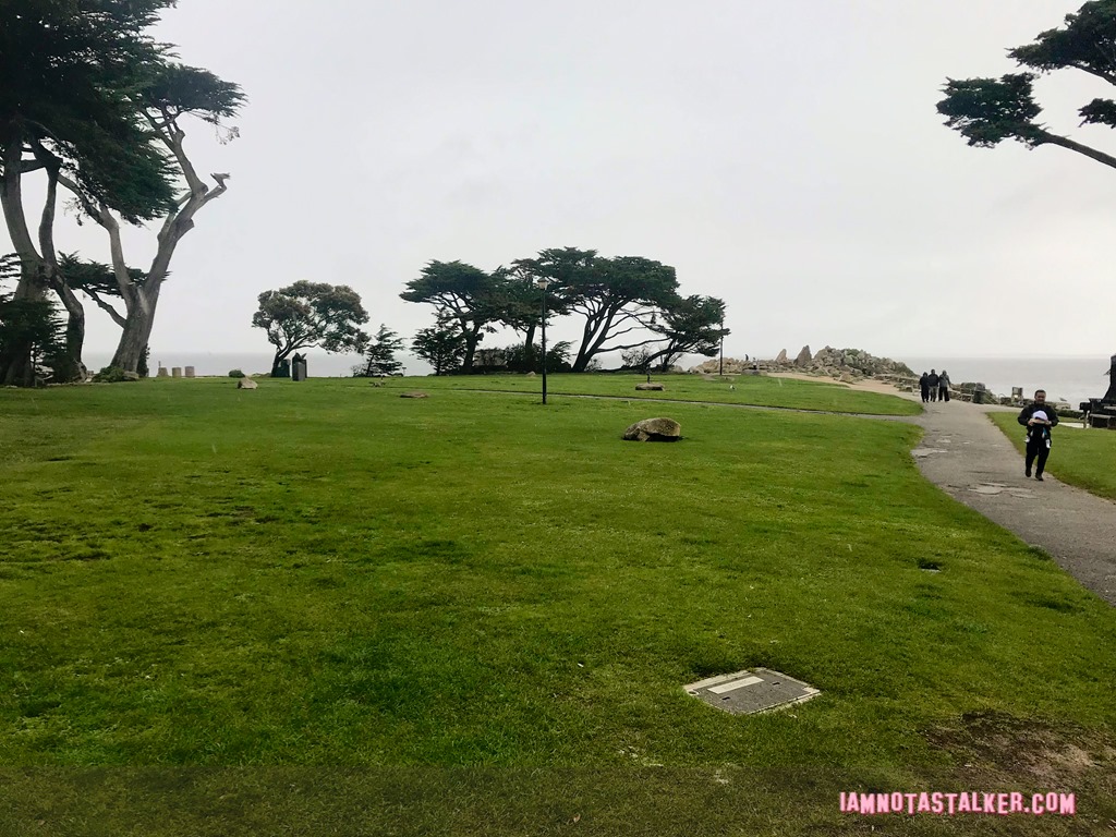 Blissful Drip Cafe from Big Little Lies (5 of 9)
