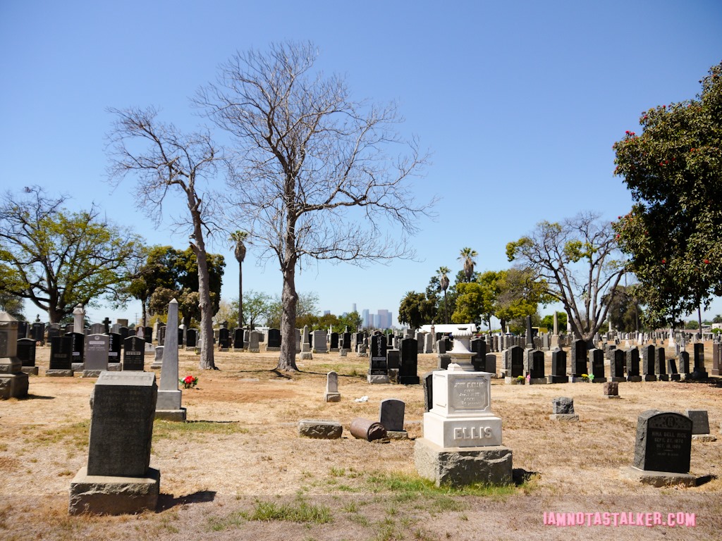 A Nightmare On Elm Street Cemetery (37 of 48)