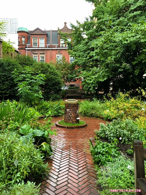 The Mutter Museum-5767
