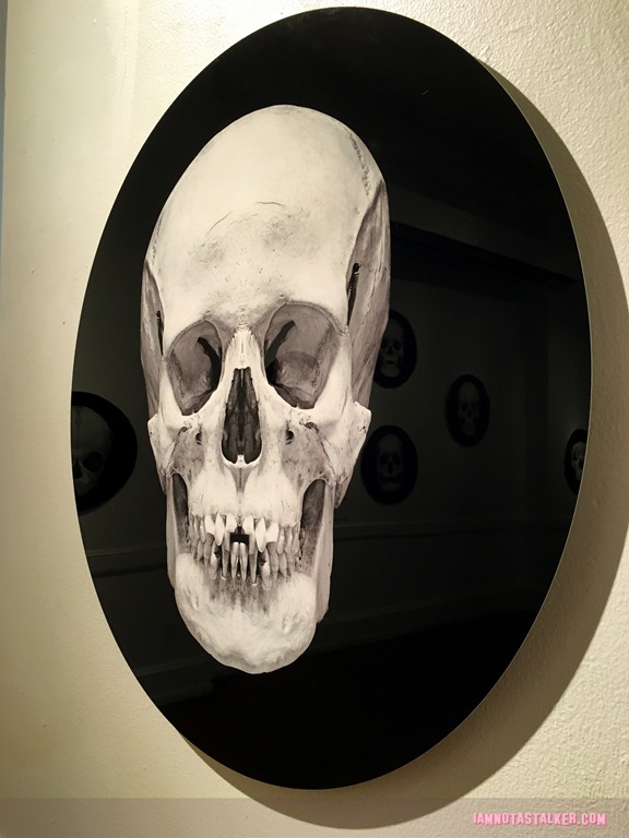 The Mutter Museum-5754