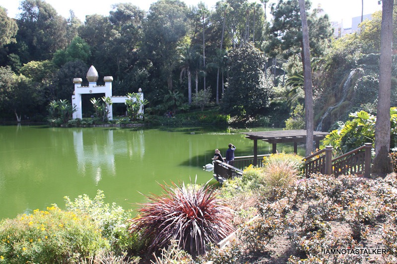 Lake-Shrine-Self-Realization-Fellowship-53