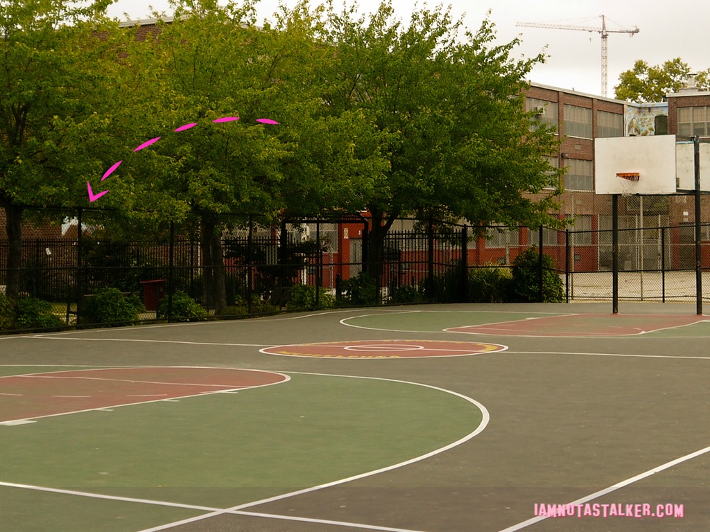 The Fresh Prince of Bel Air Basketball Court-1170950 -2