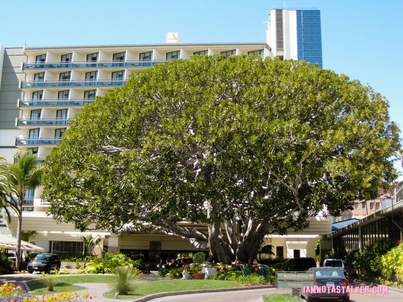 Los Angeles Hotel Recommendations (2 of 7)