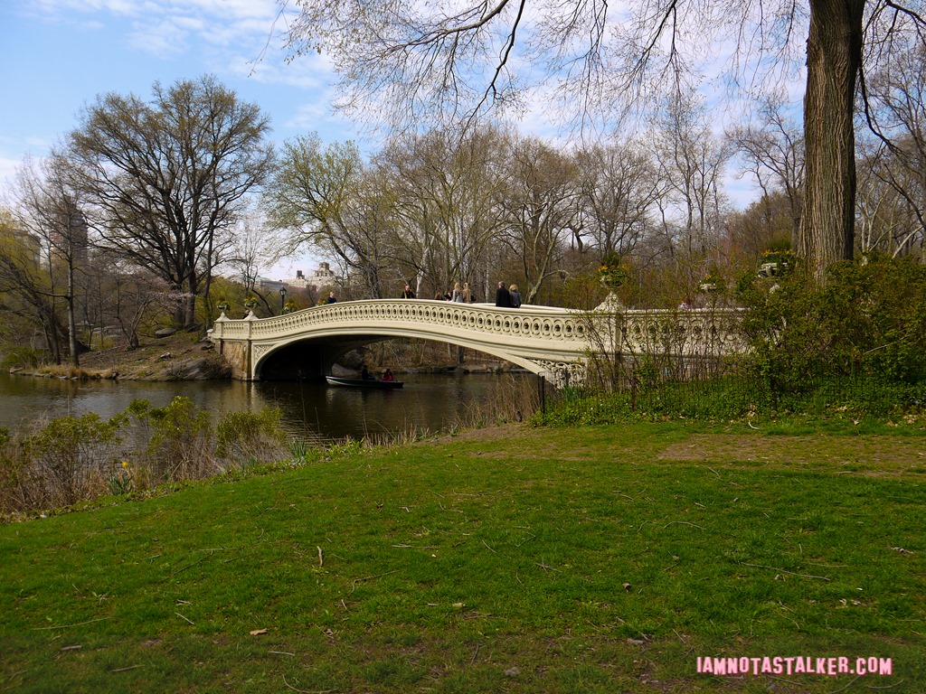 Bow Bridge from Glee-1140162