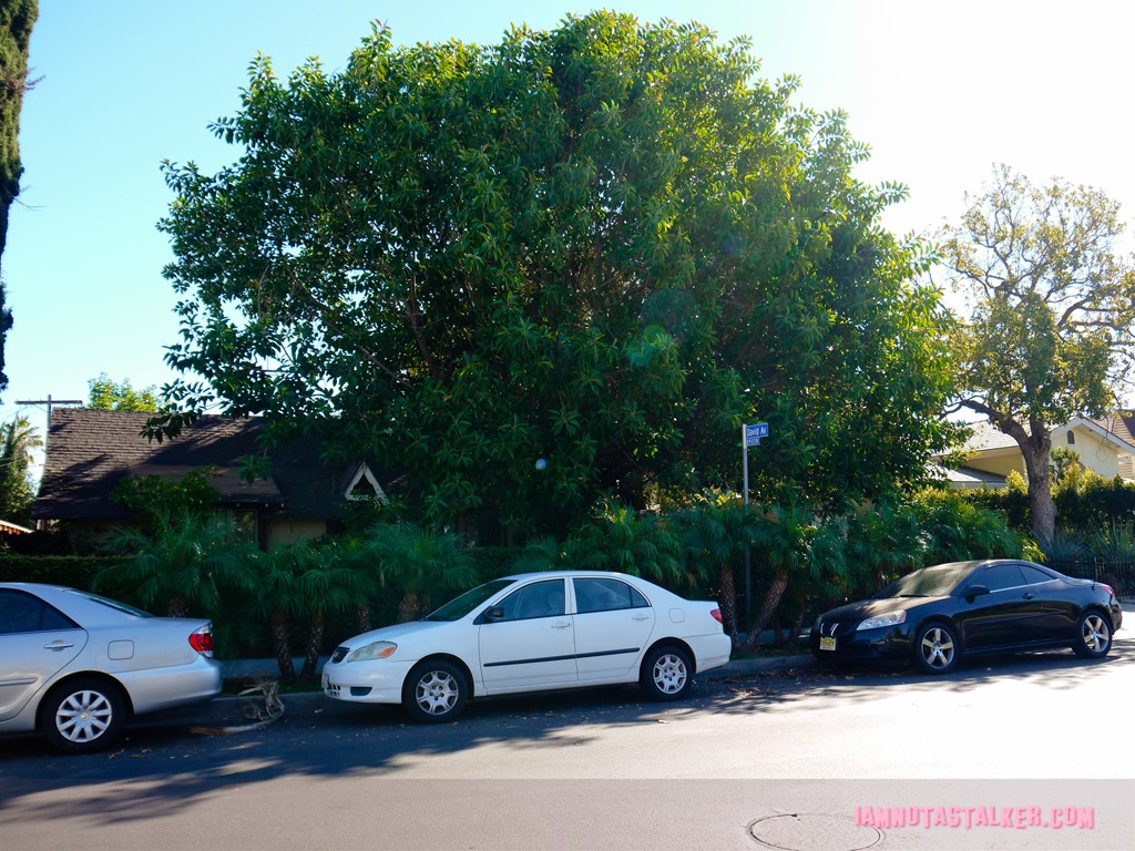 The Lost Horizon Apartment Complex from Major Crimes-2