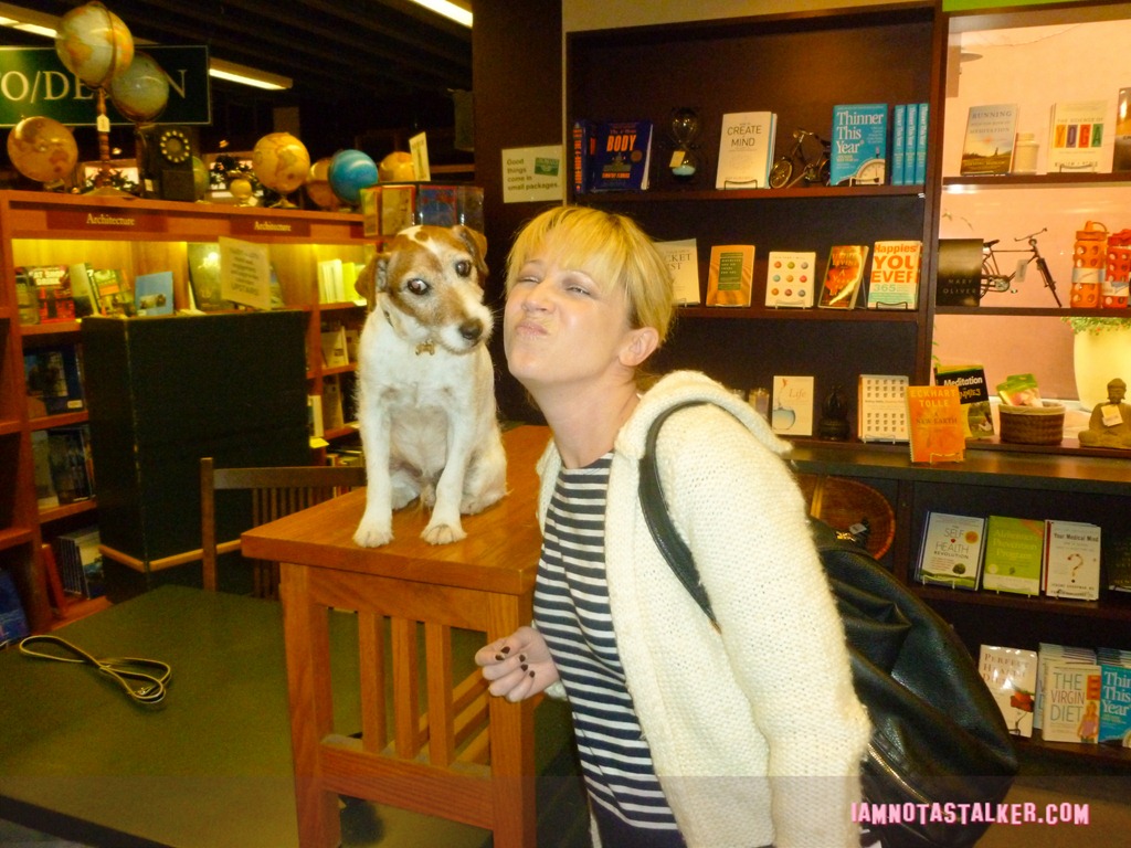 Uggie the Dog (2 of 2)