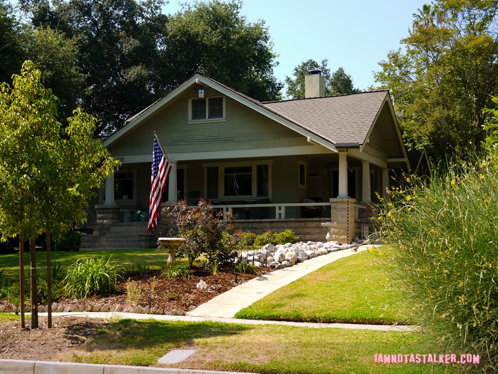 Must Love Dogs House (2 of 11)