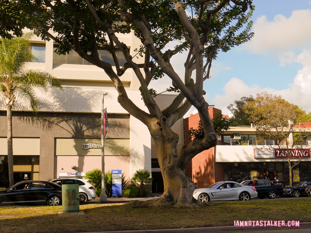 The Holiday Blockbuster Video (9 of 13)