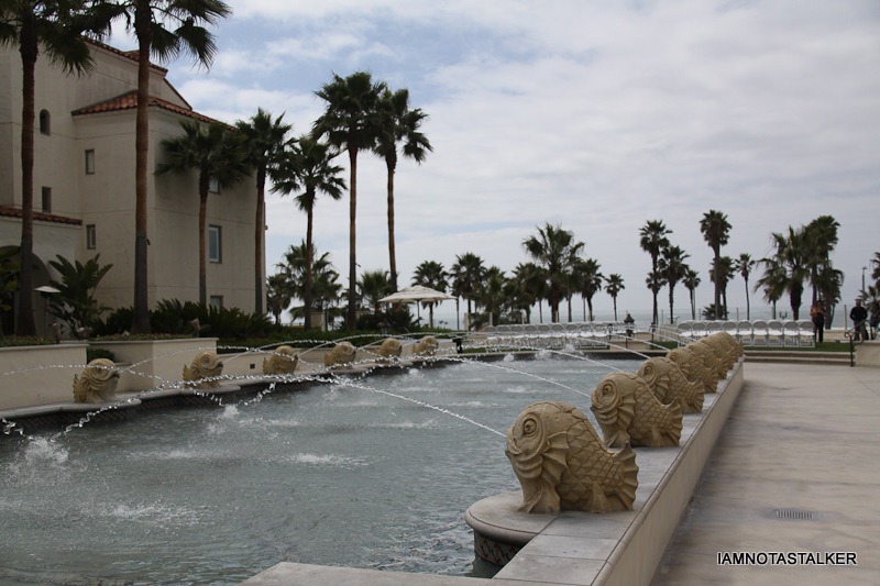 Beverly-Hill-Beach-Club-90210-(29-of-42)