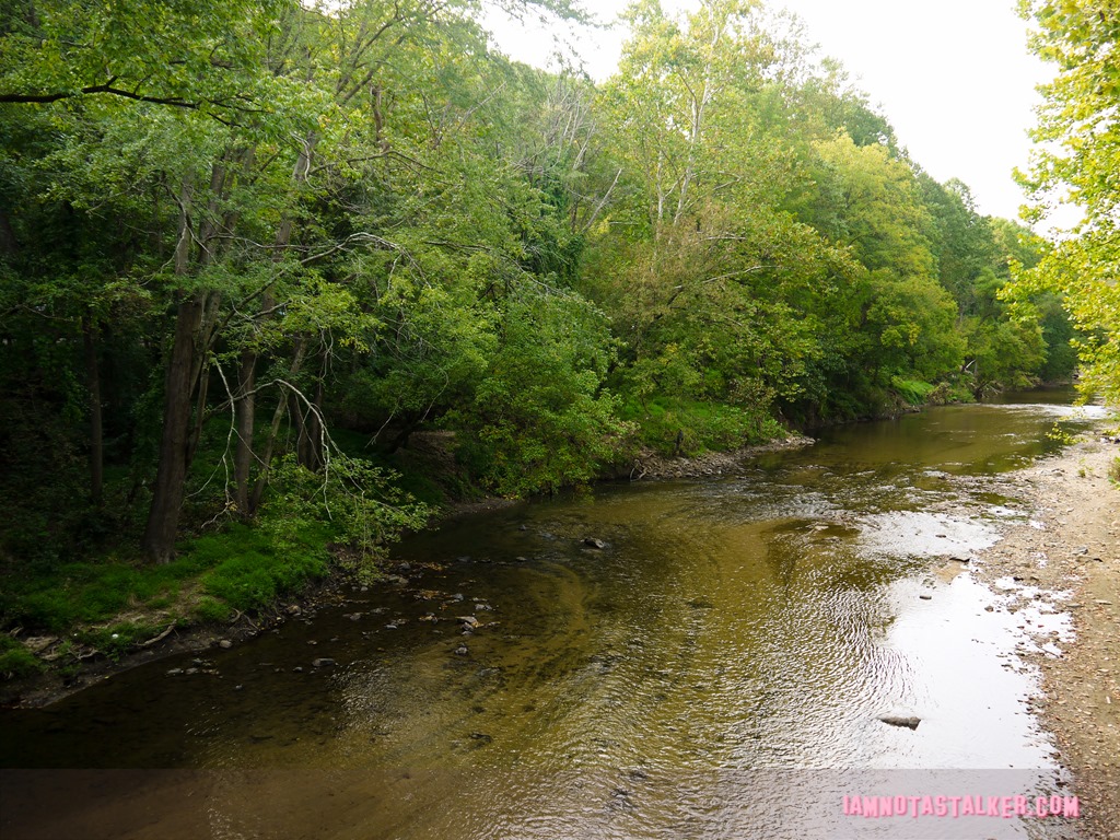 Patapsco Valley State Park from Serial-1170452
