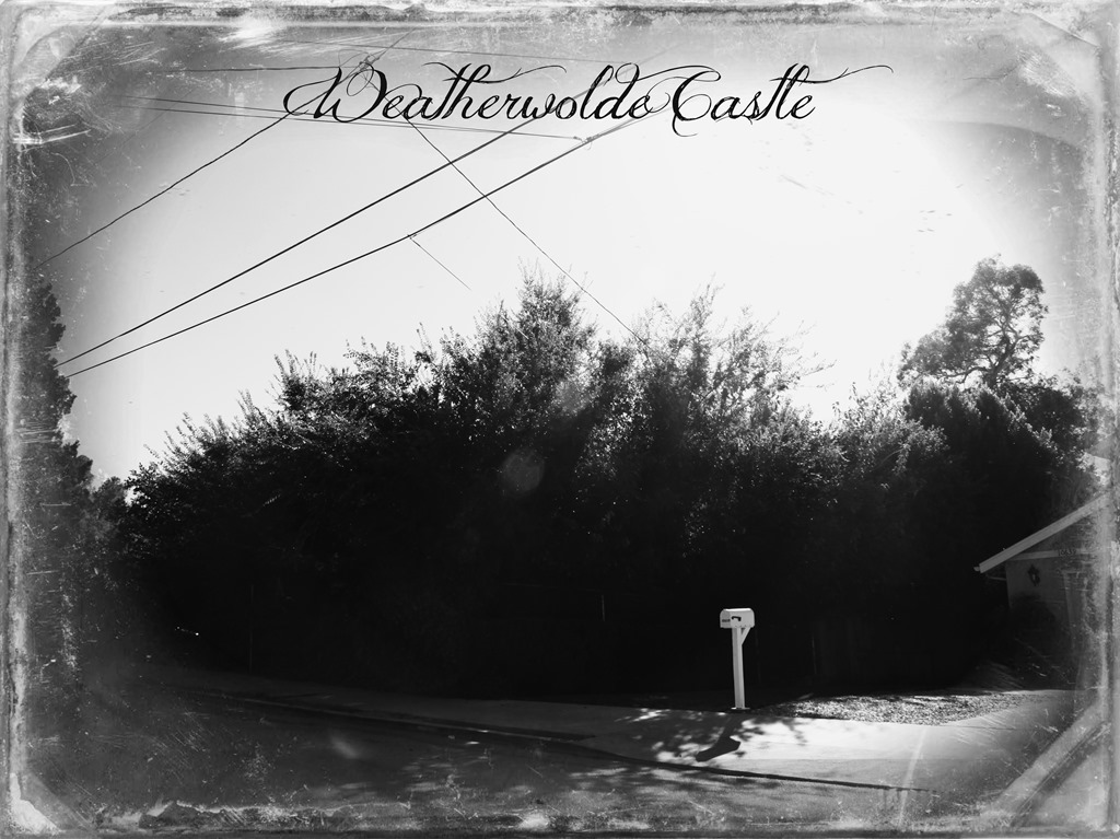 Weatherwolde Castle (11 of 12)