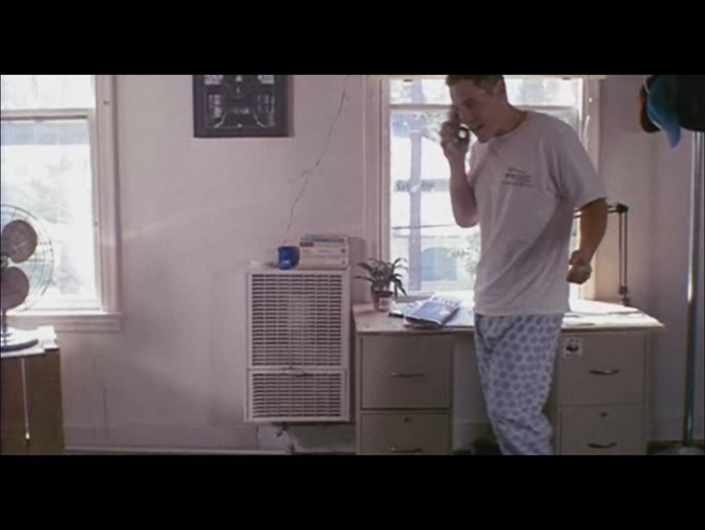 ScreenCap100