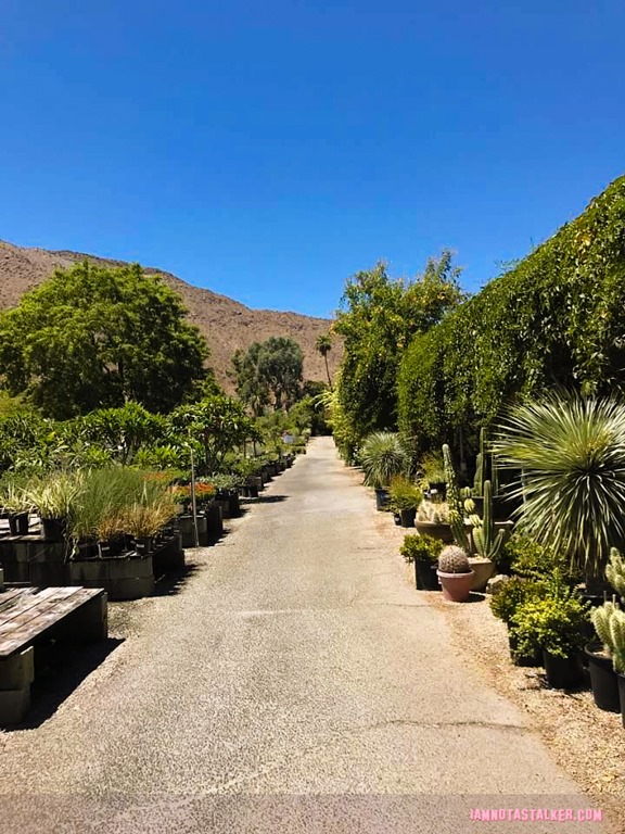 Mollers Garden Center (1 of 1)