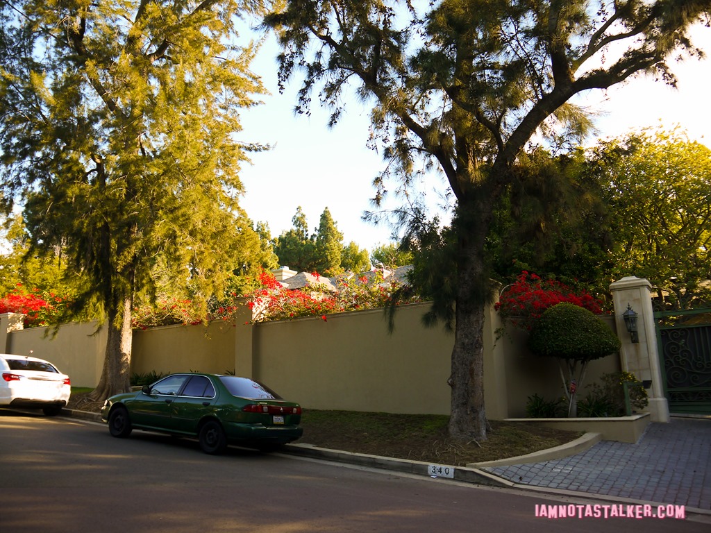License to Drive Party House (3 of 12)
