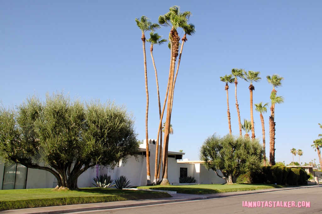 That Pink Door Palm Springs (3 of 21)