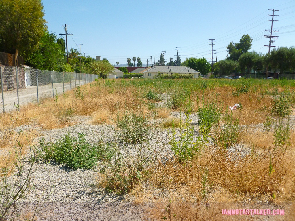 The Pit - Parks and Recreation-1040940