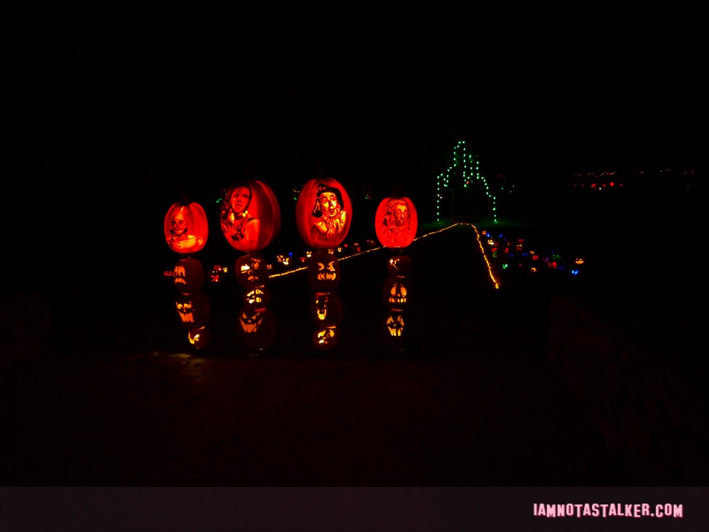 RISE of the Jack O'Lanters 2014 (63 of 71)
