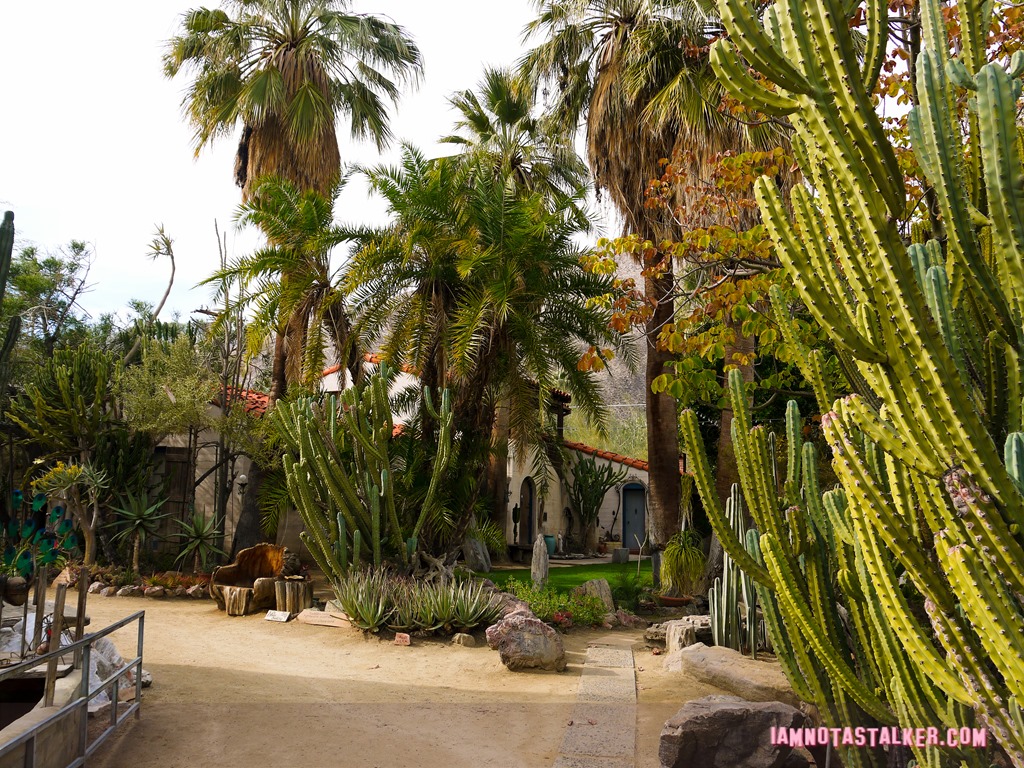 Moorten Botanical Garden from Rescue 911-1130188