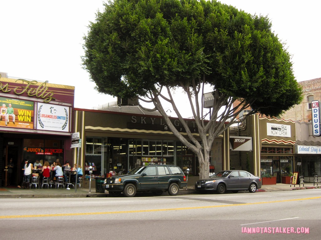 Skylight Books from Veep-4755