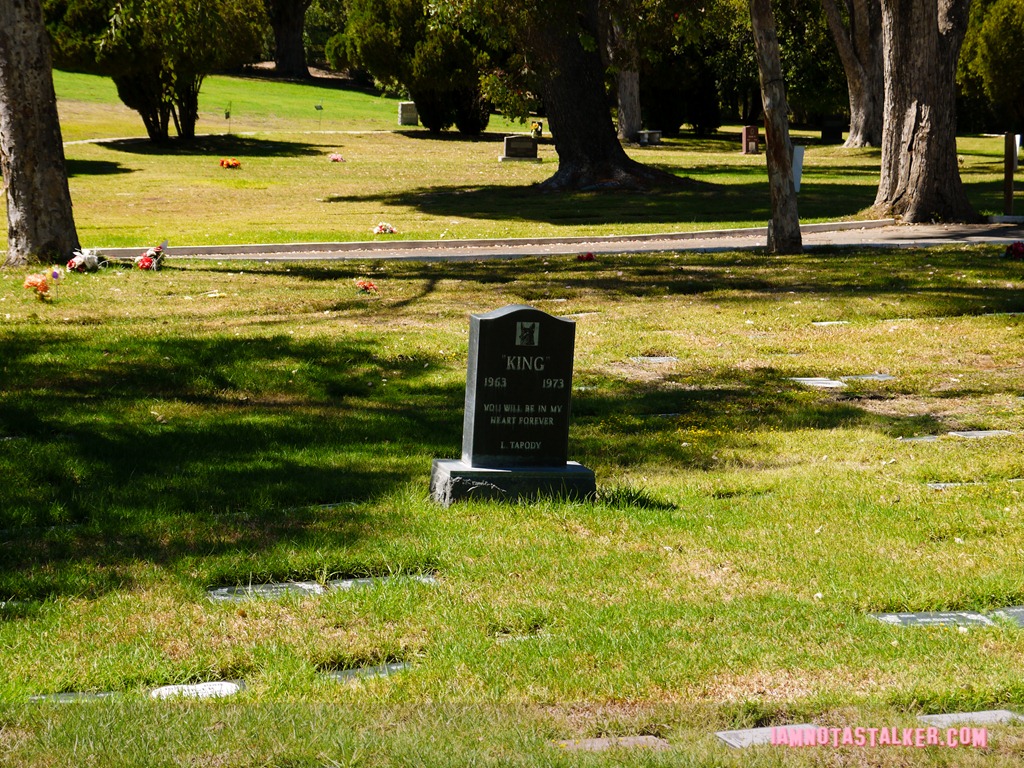 Los Angeles Pet Memorial Park (7 of 33)