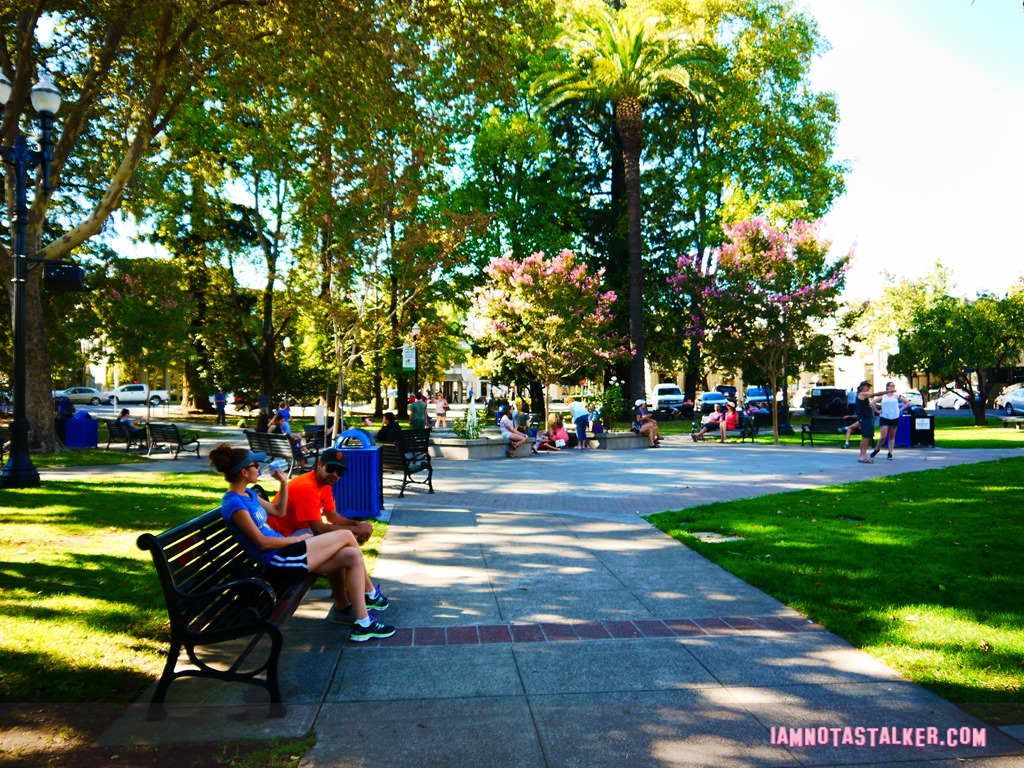 Healdsburg Town Plaza from Scream (3 of 20)
